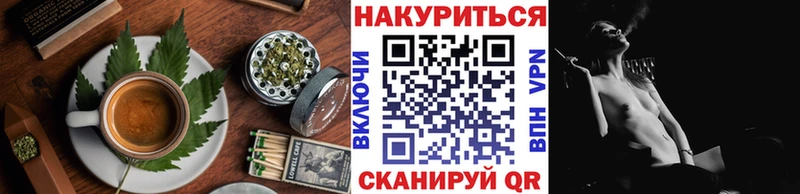 Canna-Cookies марихуана  Сысерть 