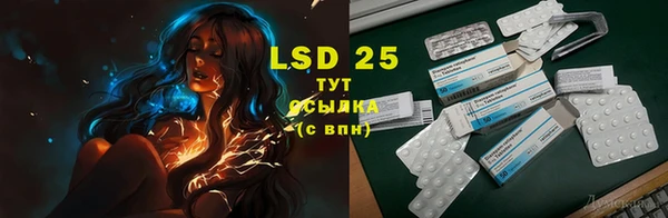амф Вязьма