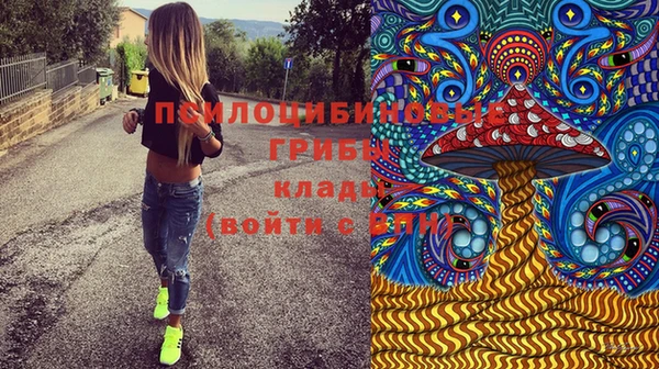 амф Вязьма