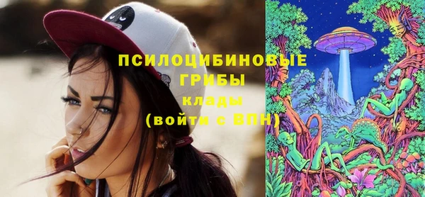 амф Вязьма